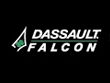 FALCON WEBSITE